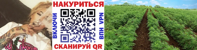 Купить Бошки Шишки СОЛЬ ГАШ АМФЕТАМИН Кокаин Меф мяу мяу Никольское