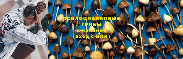 Альфа ПВП Кулебаки
