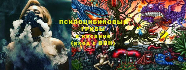 Альфа ПВП Кулебаки
